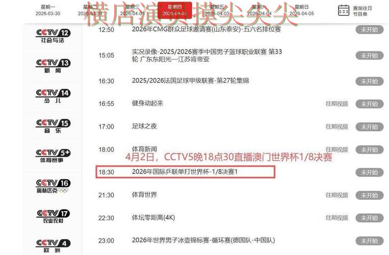 世界杯投注平台整理：聚焦平台排行与赛事直播体验 - 世界杯高清直播