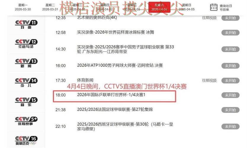 世界杯赛事中心期间热门世界杯买球平台揭秘与直播入口分析 世界杯赛事中心期间热门世界杯买球平台揭秘与直播入口分析